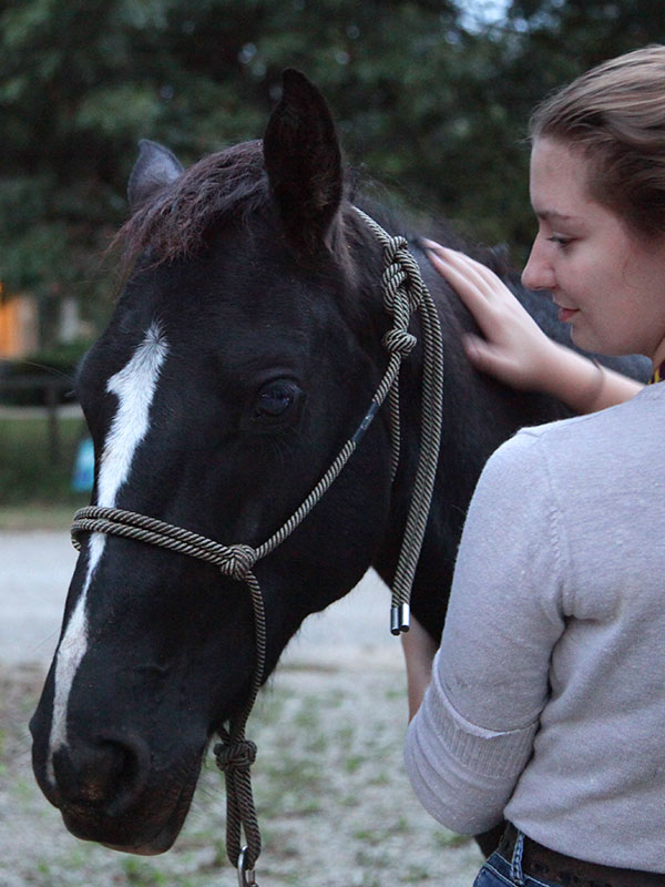 Clearfield Kansas Equine Therapy and Horse Back Riding