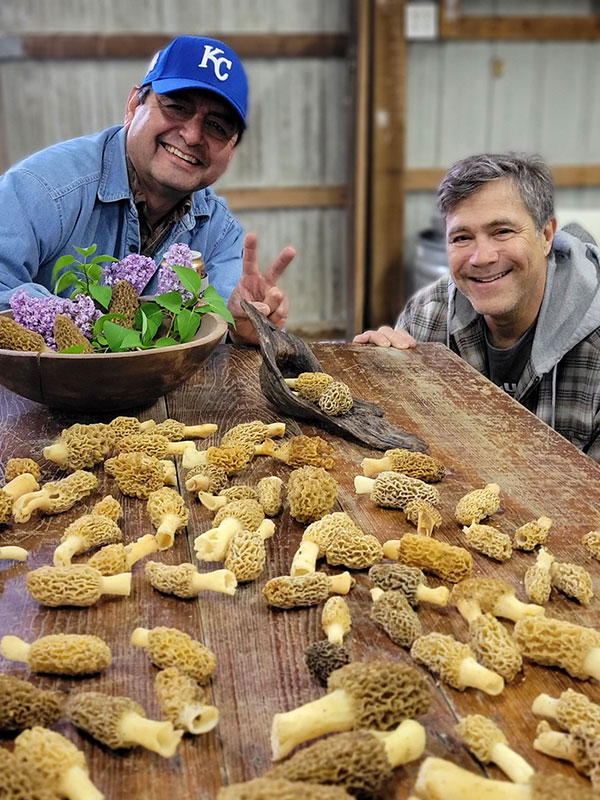 Clearfield Kansas Morel Mushroom Tour and Hunt